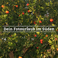 Dein Fotourlaub im Süden